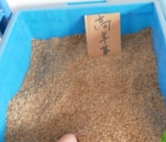 解析煙臺(tái)糊料的增稠功能